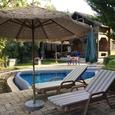 Zeytin Evi Holiday home *
