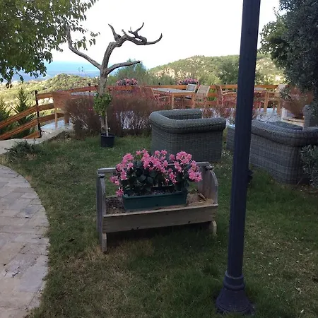 Zeytin Evi *